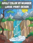 Image for Adult Color By Number - Large Print Design