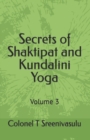 Image for Secrets of Shaktipat and Kundalini Yoga