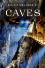 Image for The Picture Book of Caves : A Gift Book for Alzheimers Patients and Seniors with Dementia