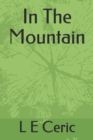 Image for In The Mountain