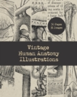Image for Vintage Human Anatomy Illustrations