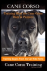 Image for Cane Corso Training Book for Cane Corso Dogs &amp; Puppies By D!G THIS DOG Training, Training Begins from the Car Ride Home, Cane Corso Training