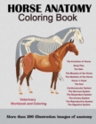 Image for Horse Anatomy Coloring Book : For Equine Vet Anatomy Students: Veterinary Physiology Workbook and Coloring Magnificent Learning Structure For Veterinary Anatomy Students To Help You Make Your Studies 