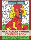 Image for Adults Color BY Number Large Print Coloring Book