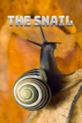 Image for The Snail