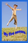 Image for My Five Senses