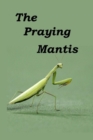 Image for The Praying Mantis : All about being a Praying Mantis.