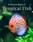 Image for A Picture Book of Tropical Fish
