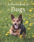 Image for A Picture Book of Dogs