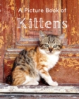 Image for A Picture Book of Kittens