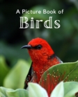 Image for A Picture Book of Birds