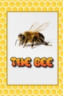 Image for The Bee : Everything you would like to know about Bees.