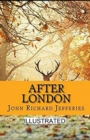 Image for After London Illustrated