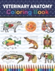 Image for Veterinary Anatomy Coloring Book : Veterinary Anatomy Coloring Book For Medical, High School Students. Anatomy Coloring Book for kids.Veterinary Anatomy Coloring Pages for Kids Toddlers Teens.Veterina