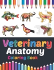 Image for Veterinary Anatomy Coloring Book : Veterinary Anatomy Student&#39;s Self-test Coloring Book for Anatomy Students Perfect Gift for Medical School Students, Nurses, Doctors and Adults. Veterinary Anatomy St