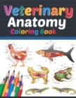 Image for Veterinary Anatomy Coloring Book : Veterinary Anatomy Learning Workbook. Animal Anatomy Coloring Book. Kids Anatomy Coloring Book. Veterinary Anatomy Coloring Book for Men &amp; Women. Veterinary Anatomy 