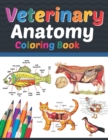 Image for Veterinary Anatomy Coloring Book : Veterinary Anatomy Coloring Book For Medical, High School Students. Anatomy Coloring Book for kids.Veterinary Anatomy Coloring Pages for Toddlers Teens.Veterinary An