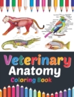 Image for Veterinary Anatomy Coloring Book : Veterinary Anatomy Coloring and Activity Book for Boys &amp; Girls. Veterinary Anatomy Learning Workbook. Animal Anatomy Coloring Book. Kids Anatomy Coloring Book. Veter