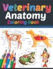 Image for Veterinary Anatomy Coloring Book : Veterinary Anatomy Coloring and Activity Book for Boys &amp; Girls. Veterinary Anatomy Coloring Book For Medical, High School Students. Anatomy Coloring Book for kids.Ve