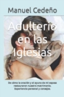 Image for Adulterio en las Iglesias