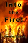 Image for Into the Fire!