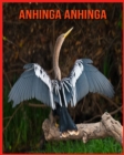 Image for Anhinga anhinga : Immagini bellissime e fatti interessanti Libro per bambini sui Anhinga anhinga