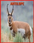 Image for Antilope : Immagini bellissime e fatti interessanti Libro per bambini sui Antilope