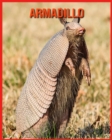 Image for Armadillo : Fatti divertenti e foto incredibili degli animali nella natura