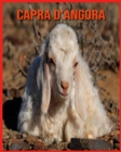 Image for Capra d&#39;Angora : Immagini bellissime e fatti interessanti Libro per bambini sui Capra d&#39;Angora
