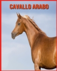 Image for Cavallo Arabo