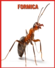 Image for Formica : Immagini bellissime e fatti interessanti Libro per bambini sui Formica