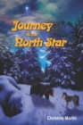 Image for Journey to the North Star