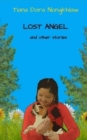 Image for Lost Angel and other Stories