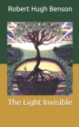 Image for The Light Invisible