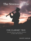 Image for The Strenuous Life for Clarinet Trio