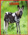 Image for Licaone