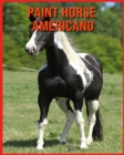 Image for Paint Horse Americano : Fantastici fatti e immagini