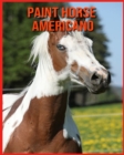 Image for Paint Horse Americano : Scopri i Paint Horse Americano e goditi le immagini colorate