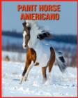 Image for Paint Horse Americano : Fatti super divertenti e immagini incredibili