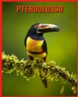 Image for Pteroglosso