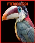 Image for Pteroglosso : Immagini bellissime e fatti interessanti Libro per bambini sui Pteroglosso