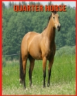Image for Quarter Horse : Quarter Horse Affascinanti Fatti per i bambini con immagini mozzafiato!