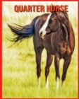 Image for Quarter Horse
