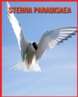 Image for Sterna Paradisaea : Immagini bellissime e fatti interessanti Libro per bambini sui Sterna Paradisaea