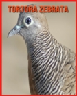 Image for Tortora Zebrata : Fatti divertenti e foto incredibili degli animali nella natura
