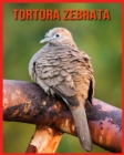 Image for Tortora Zebrata : Immagini bellissime e fatti interessanti Libro per bambini sui Tortora Zebrata