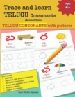Image for Trace and learn TELUGU Consonants