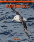 Image for Albatrosses! An Educational Children&#39;s Book about Albatrosses with Fun Facts