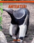 Image for Anteater! An Educational Children&#39;s Book about Anteater with Fun Facts