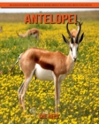 Image for Antelope! An Educational Children&#39;s Book about Antelope with Fun Facts
